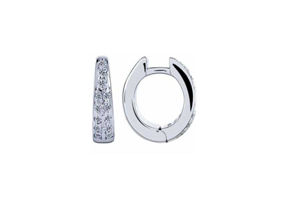 Rhodium Plated | Fashion Earrings